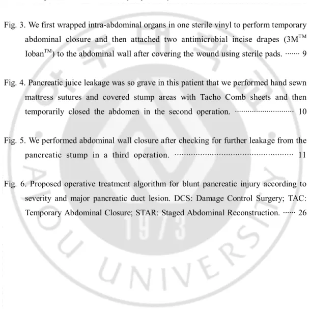 Fig. 1. Application of “damage control” principles to the severe injured patients ········· 5 