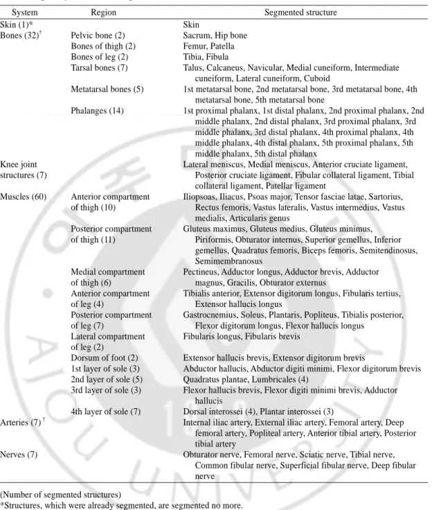 Table  2.  One-hundred  fourteen  segmented  structures  in  the  left  lower  limb,  categorized  according to systems and regions 