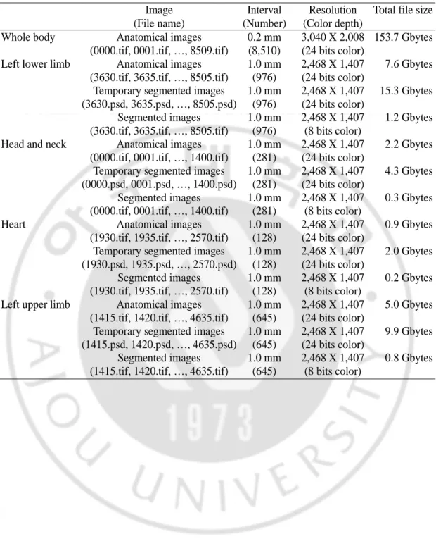 Table 1.  Features  of  the  anatomical,  temporary  segmented  and  segmented  images  of  the  regions 