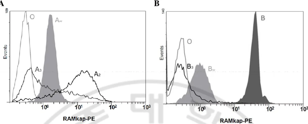 Fig.  8.  Histograms  showing  the  A  and  B  antigen  levels  of  kodecytes  and  natural  red  blood  cells  (RBCs)  obtained  with  monoclonal  antibodies  used  in  ABO  typing