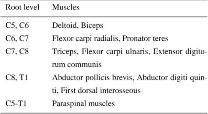 Table 1. Examined muscles