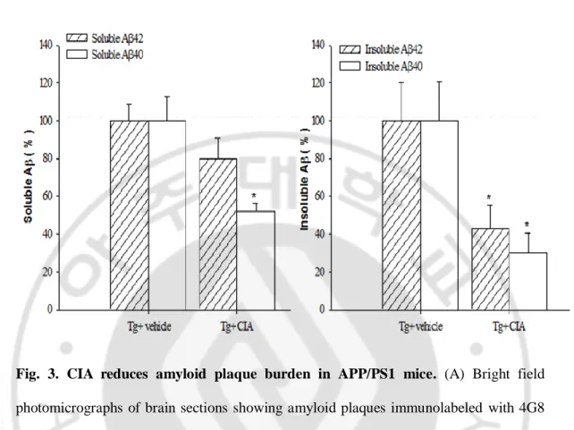 Fig.  3.  CIA  reduces  amyloid  plaque  burden  in  APP/PS1  mice.  (A)  Bright  field 