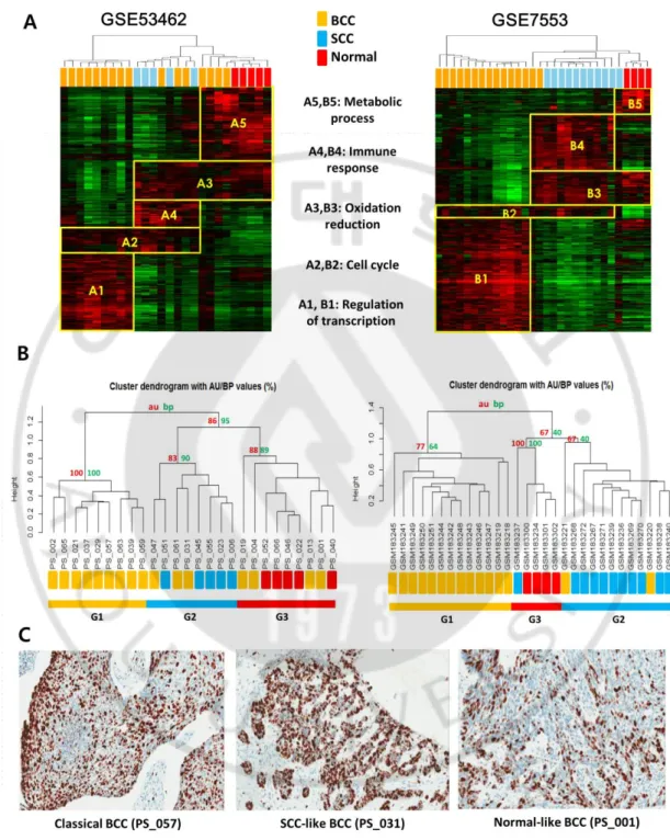Fig.  5.  Comparison  of  the  gene  expression  modules  in  independent  data  sets