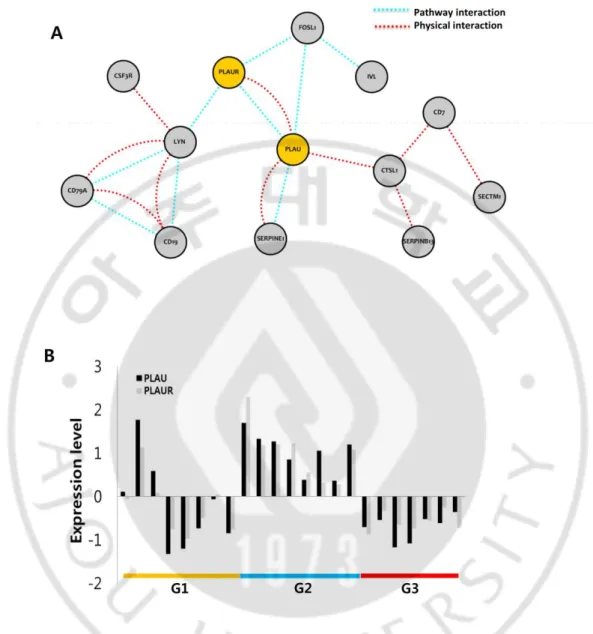 Fig. 6. PLAU and PLAUR network from the immune response module. (A)  The  SCC-
