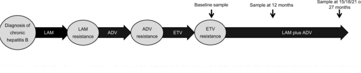 Fig.  1.  Flow  diagram  of  the  treatment  and  sera  sampling  protocol  used  for  the  study  patients