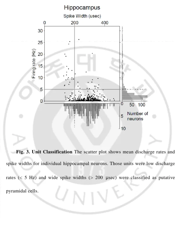 Fig.  3.  Unit  Classification  The  scatter  plot  shows  mean  discharge  rates  and  spike widths for individual  hippocampal neurons