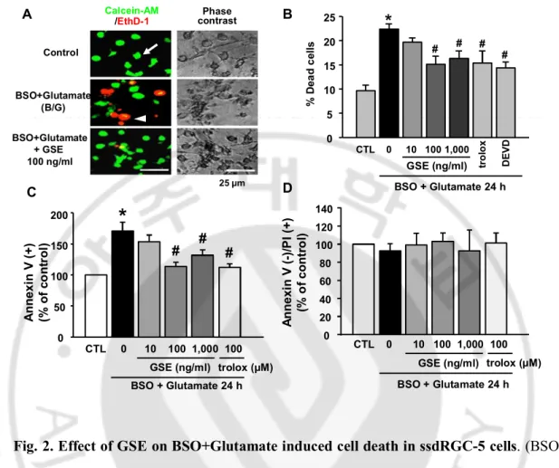 Fig. 2. Effect of GSE on BSO+Glutamate induced cell death in ssdRGC-5 cells. (BSO: 