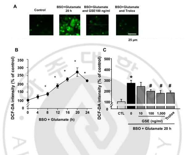 Fig. 4. Effect of GSE on BSO+Glutamate induced ROS accumulation in ssdRGC-5 cells. 