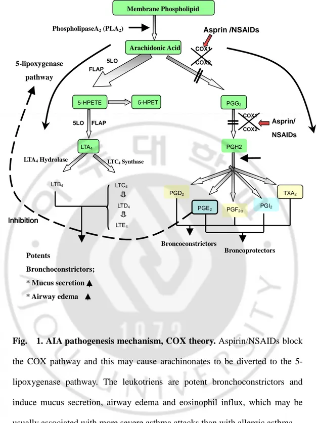 Fig.    1. AIA pathogenesis mechanism, COX theory. Aspirin/NSAIDs block 