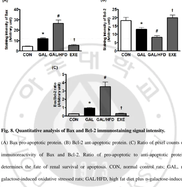 Fig. 8. Quantitative analysis of Bax and Bcl-2 immunostaining signal intensity. 