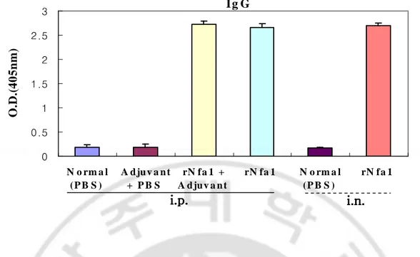 Fig.  4.  The  Nfa1-specific  IgG  levels  in  immune  mice  sera.  Mice  were  immunized  intraperitoneally  (i.p.)  with  the  rNfa1  in  adjuvant  or  in  the  absence  of  adjuvant,  or  intranasally  (i.v.)  with  the  rNfa1  only