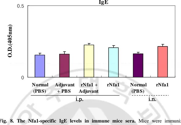 Fig.  8.  The  Nfa1-specific  IgE  levels  in  immune  mice  sera.  Mice  were  immunized  intraperitoneally  (i.p.)  with  the  rNfa1  in  adjuvant  or  in  the  absence  of  adjuvant,  or  intranasally  (i.v.)  with  the  rNfa1  only