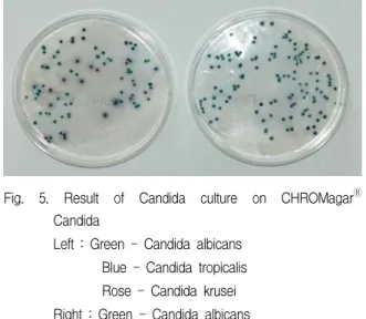Fig.  5.  Result  of  Candida  culture  on  CHROMagar Ⓡ  Candida