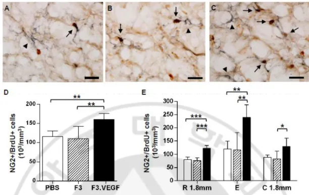 Fig. 3. Proliferation of NG2+ glial progenitor cells. (A-C) Representative images of spinal  cord  section  doubly  stained  with  BrdU  (dark  brown)  and  NG2  (dark  blue)  cells  from  PBS  (A), F3 (B), and F3.VEGF (C) groups
