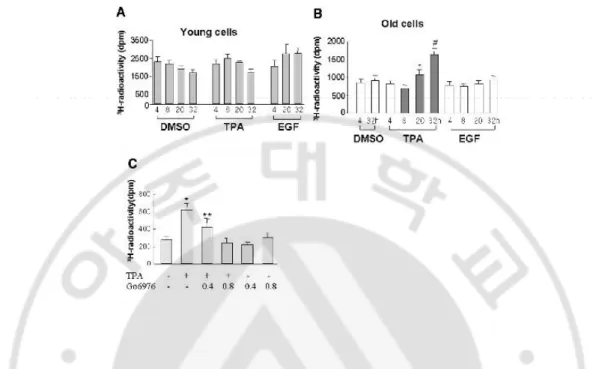 Fig. 8. 12-O-tetradecanoylphorbol-13-acetate (TPA) induced DNA synthesis only in the  old,  but  not  in  the  young,  human  diploid  fibroblast  cells