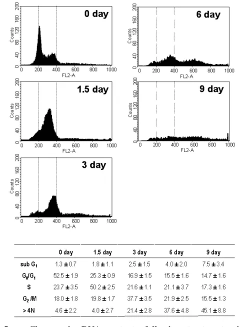 Fig.  5.      Changes  in  DNA  contents  following  treatment  with  50  ng/ml  doxorubicin