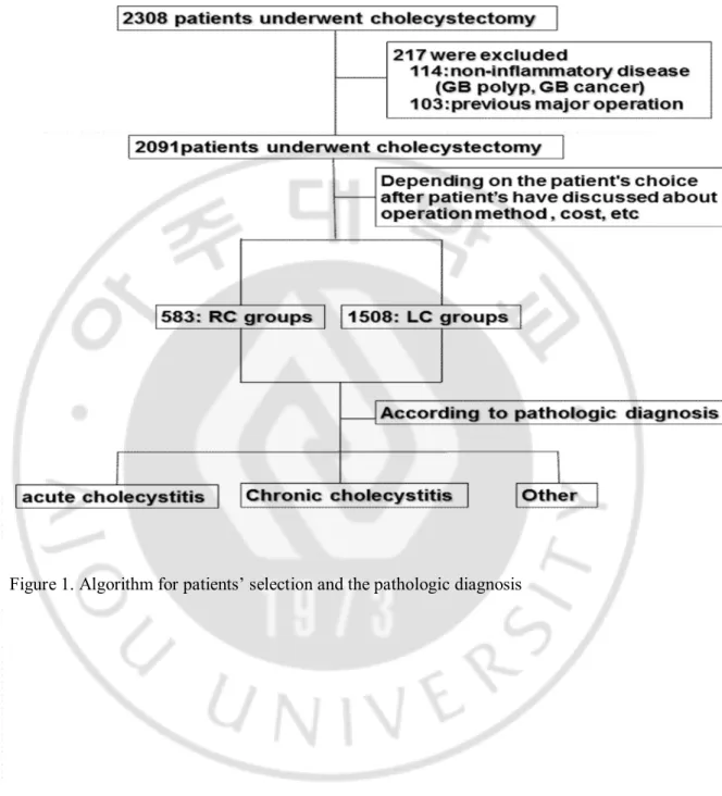 Figure 1. Algorithm for patients’ selection and the pathologic diagnosis 