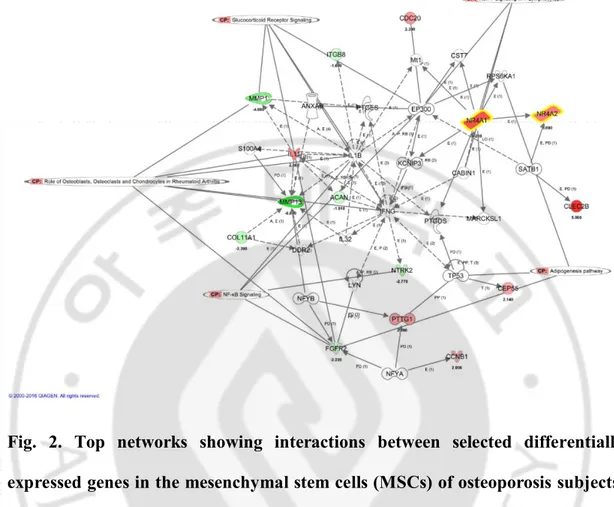Fig.  2.  Top  networks  showing  interactions  between  selected  differentially  expressed genes in the mesenchymal stem cells (MSCs) of osteoporosis subjects