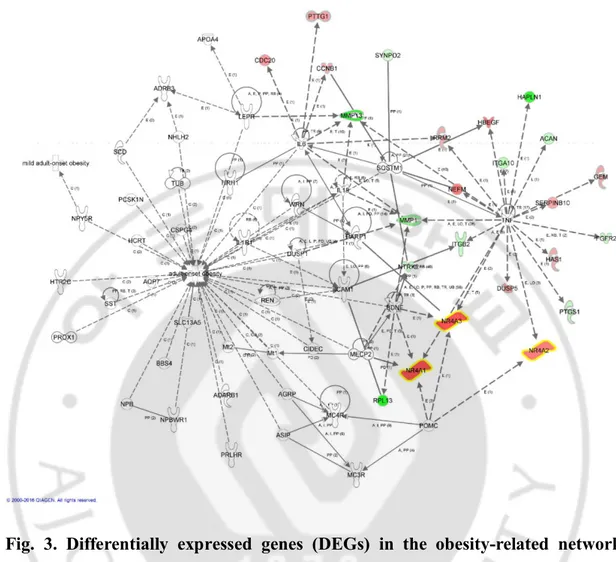 Fig.  3.  Differentially  expressed  genes  (DEGs)  in  the  obesity-related  network  among  the  53  DEGs  using  ingenuity  pathway  analysis