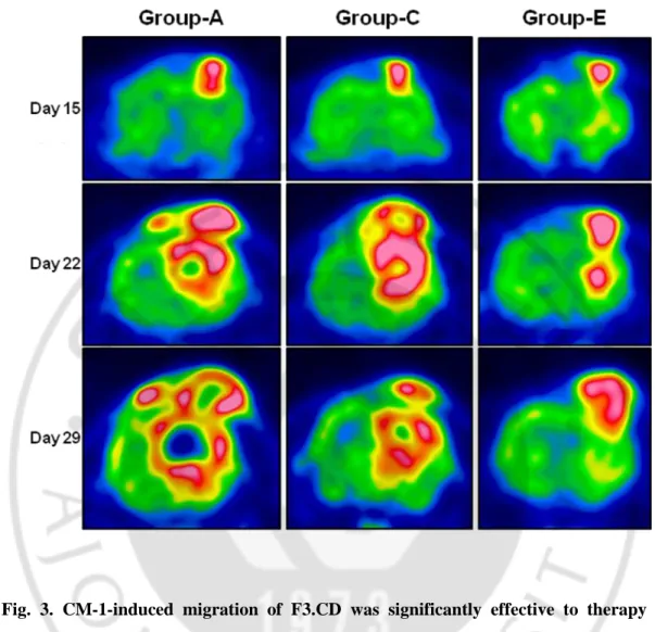 Fig.  3.  CM-1-induced  migration  of  F3.CD  was  significantly  effective  to  therapy  of  tumor in PET analysis