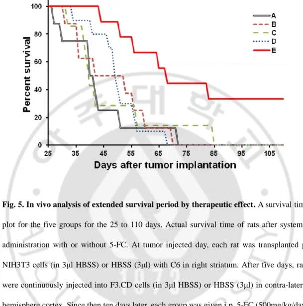 Fig. 5. In vivo analysis of extended survival period by therapeutic effect. A survival time 