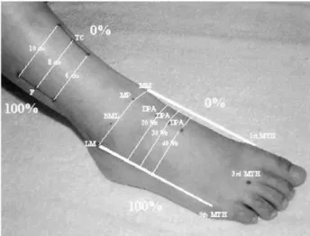 Fig. 1. Landmarks used in superficial peroneal sensory nerve conduction study