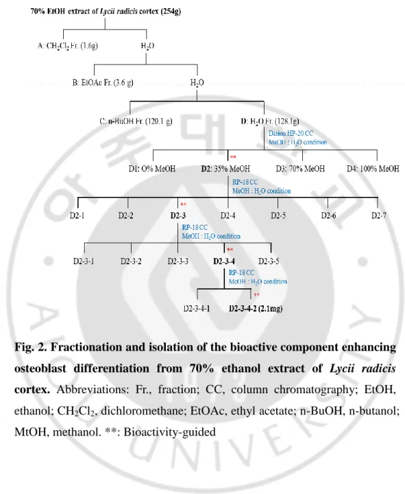 Fig. 2. Fractionation and isolation of the bioactive component enhancing  osteoblast  differentiation  from  70%  ethanol  extract  of  Lycii  radicis  cortex