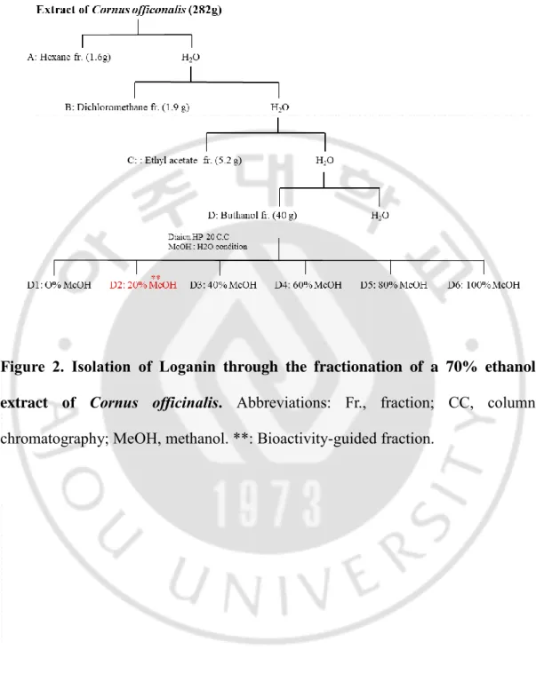 Figure  2.  Isolation  of  Loganin  through  the  fractionation  of  a  70%  ethanol  extract  of  Cornus  officinalis