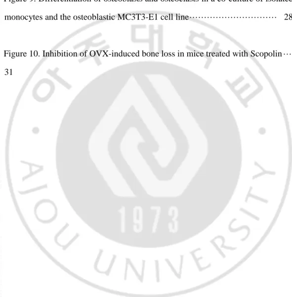 Figure 8. The mRNA expression of the osteoclastic markers Tnfsf11 and Nfatc1 ·   26 