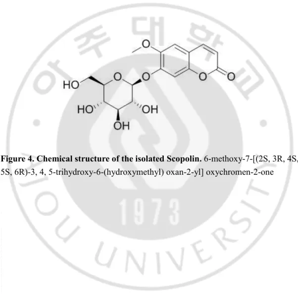 Figure 4. Chemical structure of the isolated Scopolin. 6-methoxy-7-[(2S, 3R, 4S,  5S, 6R)-3, 4, 5-trihydroxy-6-(hydroxymethyl) oxan-2-yl] oxychromen-2-one 