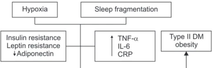 Fig. 1. Impact of sleep disturbance and restriction of obstructive sleep  apnea on endocrine-metabolic regulation