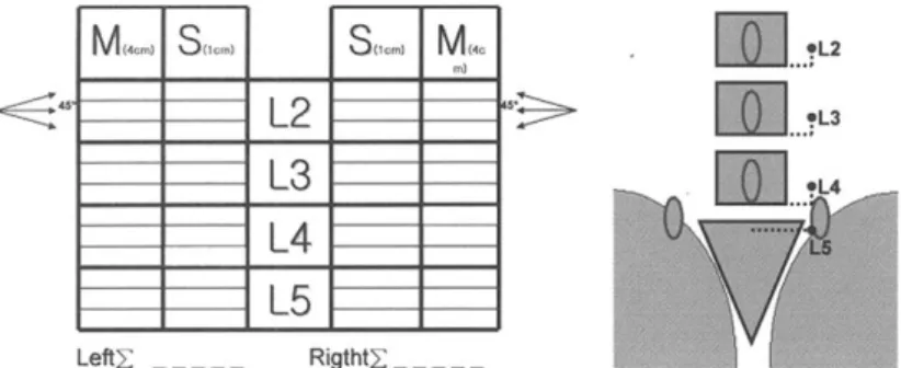 Fig. 1. Minimized Paraspinal Mapping(MiniPM) Score Sheet 