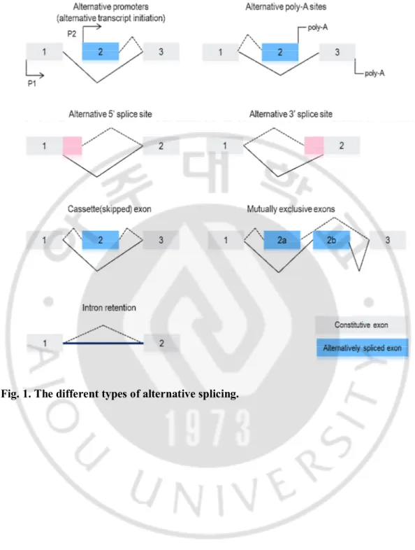 Fig. 1. The different types of alternative splicing.   
