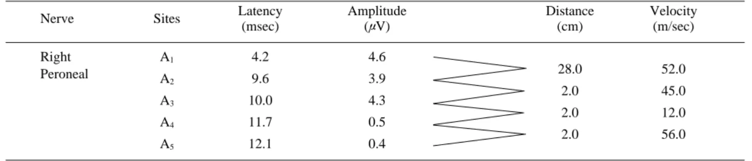 Table 1. Compound Nerve Action Potential Values of the Right Peroneal Nerve.