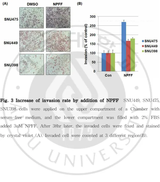 Fig. 3 Increase of invasion rate by addition of NPFF SNU449, SNU475, SNU398 cells were applied on the upper compartment of a Chamber with serum-free medium, and the lower compartment was filled with 2% FBS added 3uM NPFF