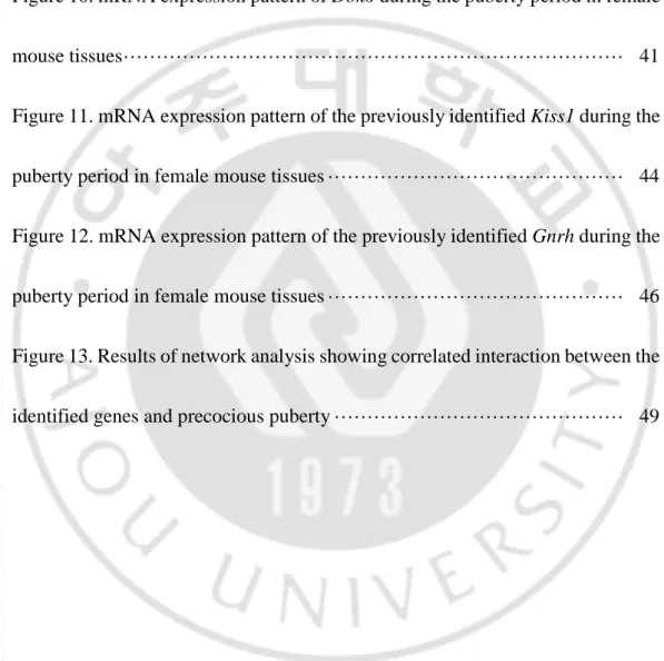 Figure  9.  mRNA  expression  pattern  of  Mpped2  during  the  puberty  period  in 