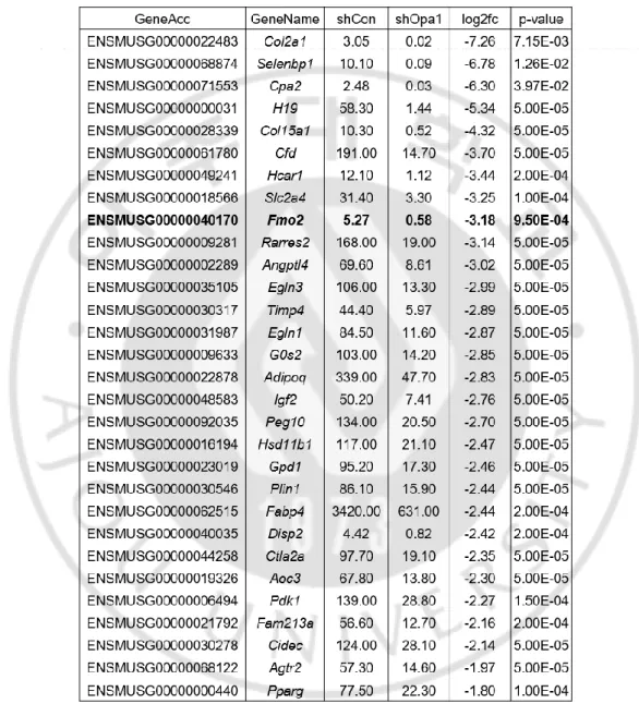 Table 5. The most differentially expressed genes in 3T3-L1 cells after Opa1  gene knock down