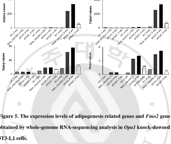 Figure 5. The expression levels of adipogenesis related genes and Fmo2 gene  obtained by whole-genome RNA-sequencing analysis in Opa1 knock-downed  3T3-L1 cells