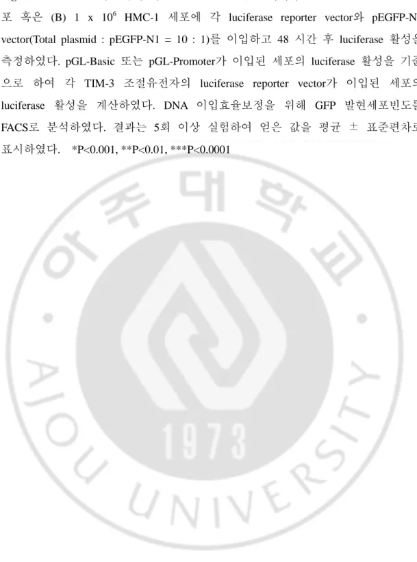 Fig. 5. TIM-3  조절 조절 조절 조절  유전자에 유전자에 유전자에  의한 유전자에 의한  luciferase  활성 의한 의한 활성 활성 활성  분석 분석 분석  (A) 5 x 10 분석 5  개의  HEK293  세