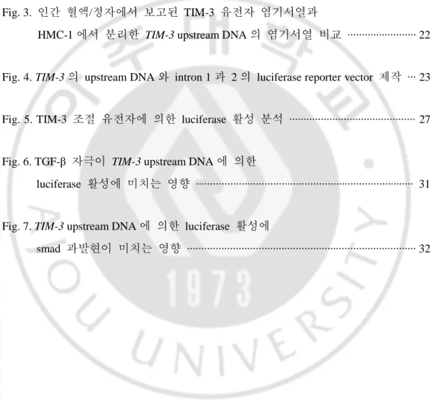 Fig. 2.  사람  TIM-3 와  생쥐  tim-3 의  upstream DNA 와  intron  염기서열의   