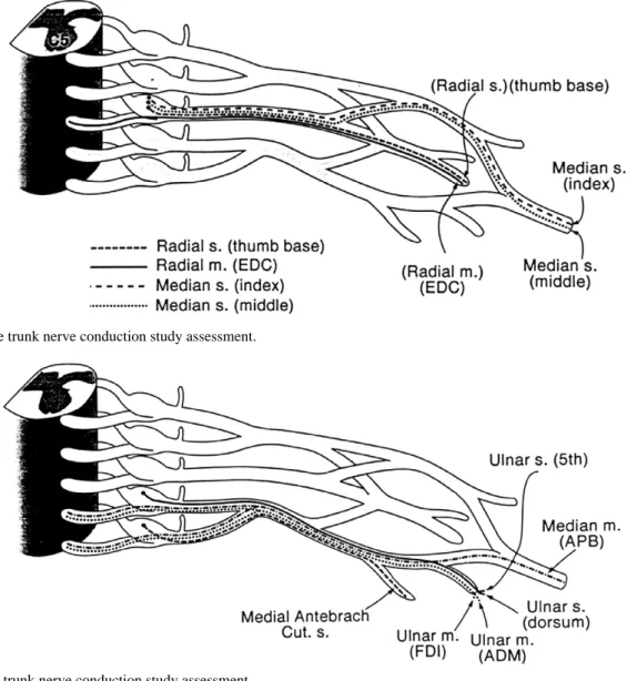 Fig. 4. Lower trunk nerve conduction study assessment.