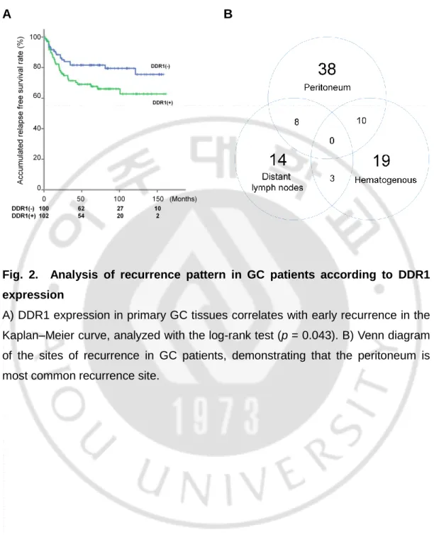 Fig.  2.    Analysis  of  recurrence  pattern  in  GC  patients  according  to  DDR1  expression 