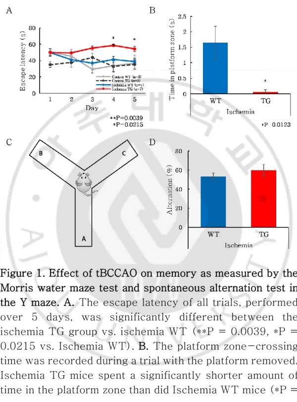 Figure 1. Effect of tBCCAO on memory as measured by the  Morris water maze test and spontaneous alternation test in  the Y maze