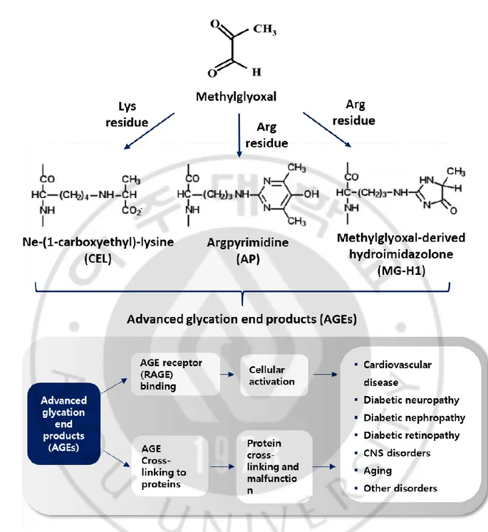 Figure 1. Methylglyoxal (MGO) is the main a precursor of advanced glycation end products  (AGEs) 