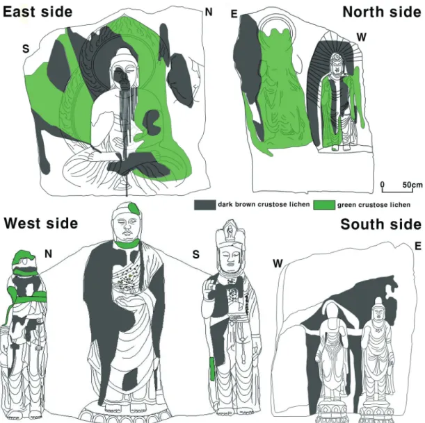 Figure 7. Lichen distribution on the Stone Buddha statue in the Gulbulsa temple site. 굴불사지석불상의 지의류 분포