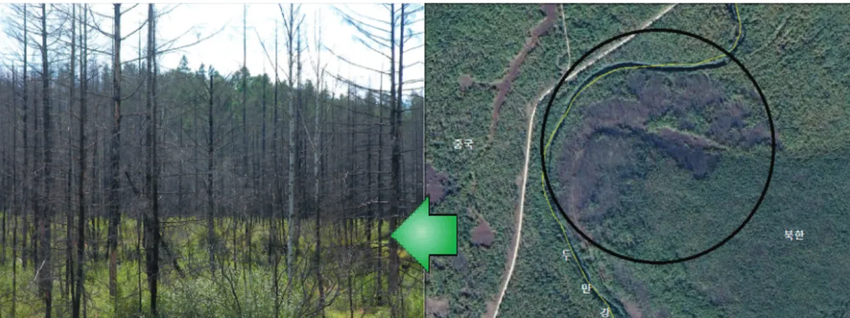 Figure 2. left: Dieback area of North korea , right: Google image. 좌: 북한의 고사지역, 우: 구글영상