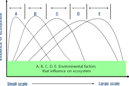 Figure 1. Process scale of environmental factors that influence on ecosystem. 환경요인의 프로세스 스케일