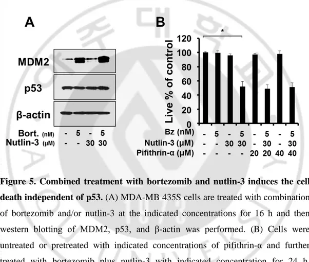 Figure 5. Combined treatment with bortezomib and nutlin-3 induces the cell  death independent of p53