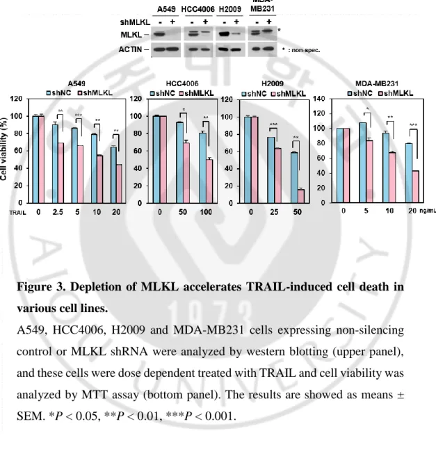 Figure  3.  Depletion  of  MLKL  accelerates  TRAIL-induced  cell  death  in  various cell lines