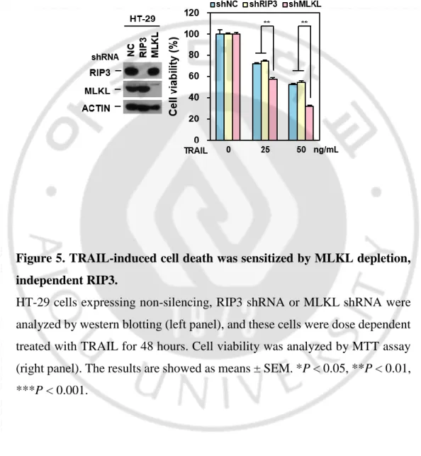 Figure 5. TRAIL-induced cell death was sensitized by MLKL depletion,  independent RIP3